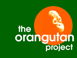 The Orangutan Project logo